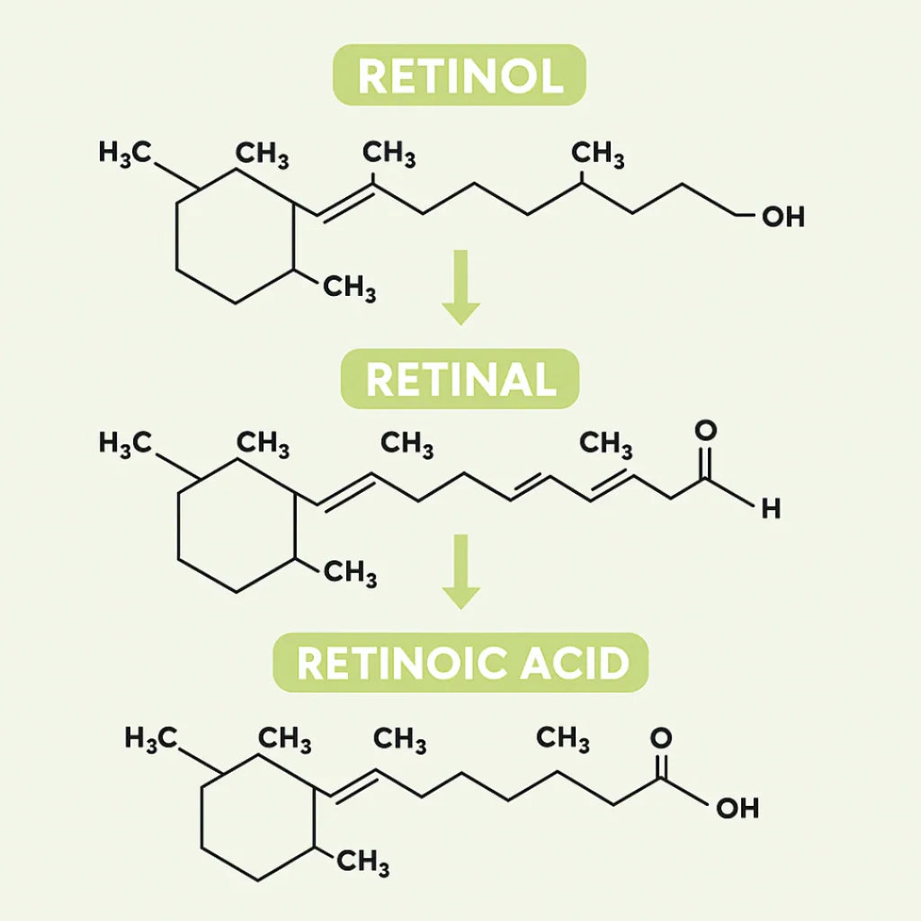 Celimax® Retinal Shot - Adiós Arrugas