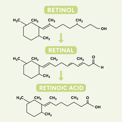 Celimax® Retinal Shot - Adiós Arrugas